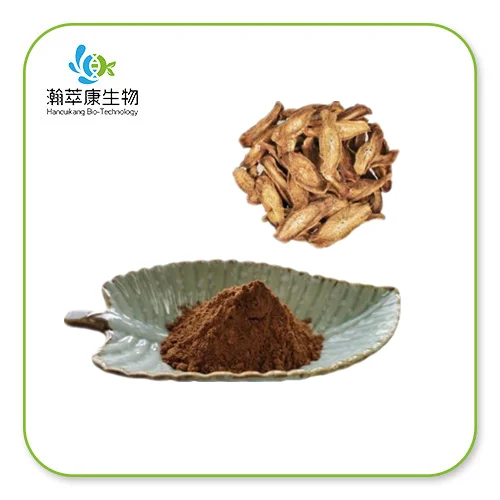 Burdock Extract Powder